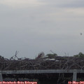 06_55-mast.jpg