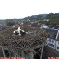 06_55-nest.jpg