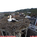 07_15-nest.jpg