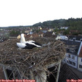07_20-nest.jpg