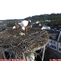 07_30-nest.jpg