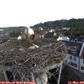 07_45-nest.jpg