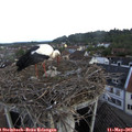 07_55-nest.jpg