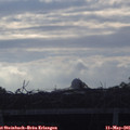 08_00-mast.jpg