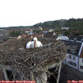 08_00-nest.jpg
