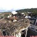 08_10-nest.jpg