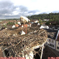 08_15-nest.jpg