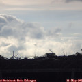 08_25-mast.jpg
