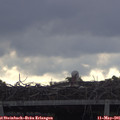 08_35-mast.jpg