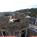 08_35-nest.jpg