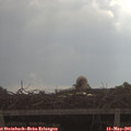 08_45-mast.jpg