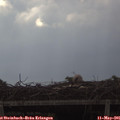 08_50-mast.jpg