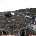 09_00-nest.jpg