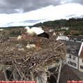 09_05-nest.jpg
