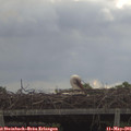 09_30-mast.jpg