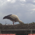 09_50-mast.jpg
