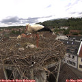 10_00-nest.jpg