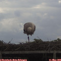 10_15-mast.jpg