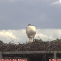 12_00-mast.jpg