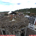 12_30-nest.jpg