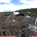 12_45-nest.jpg