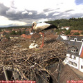 14_10-nest.jpg