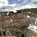 14_40-nest.jpg