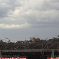 15_00-mast.jpg