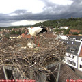 15_30-nest.jpg