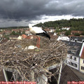 15_40-nest.jpg