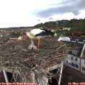 15_45-nest.jpg
