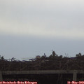 15_50-mast.jpg