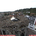 15_55-nest.jpg
