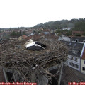 16_00-nest.jpg