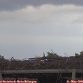 16_05-mast.jpg