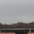 16_15-mast.jpg