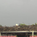 16_20-mast.jpg