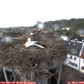 16_20-nest.jpg