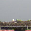 16_25-mast.jpg
