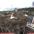 16_25-nest.jpg
