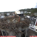16_35-nest.jpg