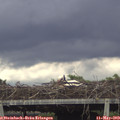 17_30-mast.jpg