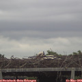 18_05-mast.jpg