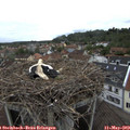 18_10-nest.jpg