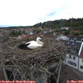 18_25-nest.jpg