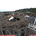 18_40-nest.jpg