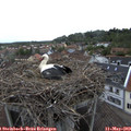 18_45-nest.jpg