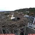 19_05-nest.jpg