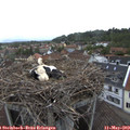 19_30-nest.jpg