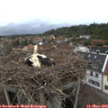 19_40-nest.jpg